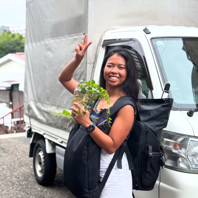 Thank you for the fast and reliable service, Atsushi-san! 🙇🏽‍♀️

#reviews
#smallapartmentmove
#englishspeakingmovers #furnituredelivery
#affordablemoving
#movingcompany
#SetagayaMoving
#sayonarasale